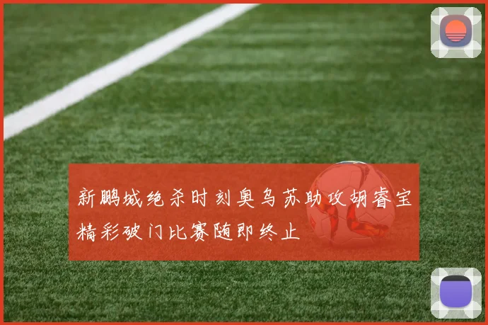 新鹏城绝杀时刻奥乌苏助攻胡睿宝精彩破门比赛随即终止