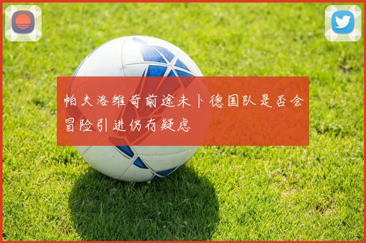 帕夫洛维奇前途未卜德国队是否会冒险引进仍存疑虑